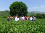 茶叶科技特派员工作站签约仪式在广西昭平县举行 - 农业机械化信息