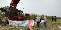 广西农机鉴定站对凯斯8810型甘蔗收获机开展推广鉴定 - 农业机械化信息