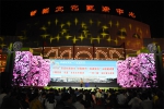 壮族三月三期间柳州文化活动精彩纷呈 - 文化厅