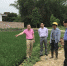 自治区水稻生产技术专家到钦州市开展水稻机械直播技术调研 - 农业机械化信息