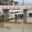 桂林强降雨致多路段内涝 叠彩区一车辆被淹(组图) - 广西新闻网