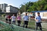 桂林市农机局到平乐县考察调研农机购置补贴项目 - 农业机械化信息