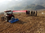 隆林县农机局围绕主导产业开展机耕服务 - 农业机械化信息