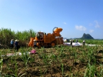 广西甘蔗生产机械化试验示范园区在非榨季大显身手 - 农业机械化信息