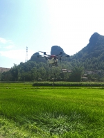 《右江日报》：我市举办水稻生产机械化 无人机植保现场演示会 - 农业机械化信息
