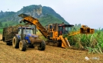 柳工农机甘蔗收获机械研发生产不断取得新突破 - 农业机械化信息
