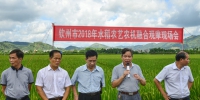 钦州市举办水稻农艺农机融合观摩现场会 - 农业机械化信息
