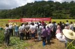 浦北县举办2018年夏季水稻机收机耕现场培训会 - 农业机械化信息