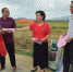 玉林市农机局进村入户宣传秸秆粉碎 - 农业机械化信息