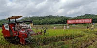 张黄镇举办夏季水稻机械化收割现场会 - 农业机械化信息