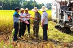 八步区农机农业部门联合开展水稻秸秆还田禁止秸秆焚烧宣传工作 - 农业机械化信息