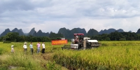 昭平县农机部门多措并举开展“双抢”工作 - 农业机械化信息