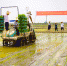 贺州市农机技术推广站到八步区指导水稻农机农艺融合技术研究与示范工作 - 农业机械化信息
