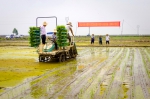贺州市农机技术推广站到八步区指导水稻农机农艺融合技术研究与示范工作 - 农业机械化信息