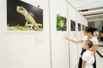 120幅野生动物照片定格自然之美  图片展将在广西图书馆展出至月底 - 文化厅