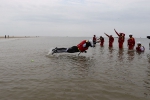 北海市红十字会水上救援队第四期培训班圆满结束（图） - 红十字会