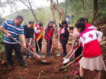 平果县红十字会在太平村骆马屯举行惠民工程饮水项目启动仪式（图） - 红十字会