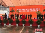 重庆江津与广西防城港跨区域合作东盟货物直达山城 - 广西新闻