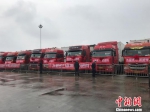 图为从广西防城港开至重庆江津的东盟进口水果班列。　钟旖 摄 - 广西新闻