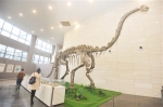 寻踪问迹五亿年 广西远古生物探秘展亮相南宁博物馆 - 文化厅