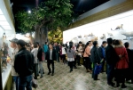 广西自然博物馆春节文化活动丰富多彩 - 文化厅