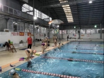 体育场运动队出征2019年全国游泳系列赛（沈阳站） - 省体育局