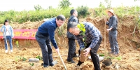苏海棠等厅领导到武宣县帮扶联系贫困村参加义务植树活动 - 审计厅
