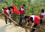 自治区红十字会赴隆安县群力村开展“兴水利、种好树、助脱贫、惠民生”主题活动（图） - 红十字会