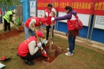 良庆区红十字会组织志愿服务队参加“学雷锋·行善立德·志愿服务满绿城”义务植树活动（图） - 红十字会