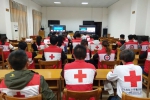 中国红十字会召开做好自然灾害等突发公共事件应急工作电视电话会议（图） - 红十字会