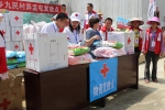 百色市红十字赈济救援队到凌云县发放救灾物资 - 红十字会