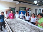 那坡县红十字会到百都乡感怀村“博爱家园”项目点举行生计金发放仪式（图） - 红十字会