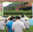 昭平县举办茶叶生产机械化示范推广现场会 - 农业机械化信息
