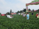 昭平县举办茶叶生产机械化示范推广现场会 - 农业机械化信息