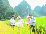 中国医药报：边陲乡镇的网格治理 - 食品药品监管局