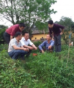 点击浏览下一页 - 食品药品监管局