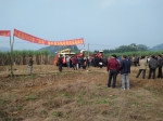 平果县召开甘蔗机械收割现场观摩会 - 农业机械化信息