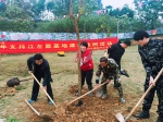 南宁市红十字会开展植树活动（图） - 红十字会