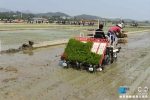 新华网：大地乐章 航拍广西玉林两岸农机合作闹春耕 - 农业机械化信息