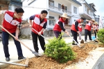 自治区红十字会赴隆安县开展植树暨修水利活动（图） - 红十字会