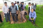 【凌云】学习水稻种植先进技术 推广县域水稻全程机械化种植模式 - 农业机械化信息