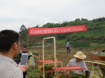 【凌云】学习水稻种植先进技术 推广县域水稻全程机械化种植模式 - 农业机械化信息