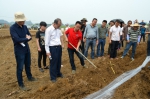 2017年广西甘蔗深松整地和种植机械化技术模式试验及研讨会在扶绥基地成功举办 - 农业机械化信息