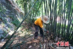 回应官媒批评桂林象山景区启动“拆围透景”行动 - 广西新闻