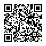 第14届东博会投资合作圆桌会将于9月13日-14日举行 - 广西新闻网