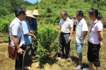 钟山县红十字会到同古镇大良村实施农村备灾减灾项目（图） - 红十字会