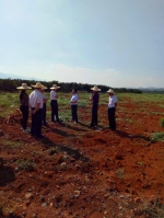 自治区农机局到富川督查创新示范基地建设项目 - 农业机械化信息